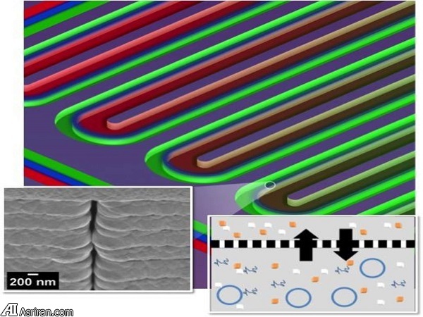 زیستراکتوری کوچک که جانتان را نجات می دهد! زیستراکتوری کوچک که جانتان را نجات می دهد!