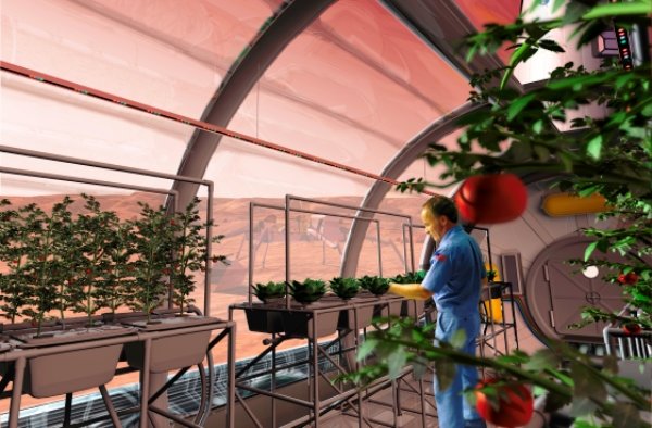 ساکنان مریخ غذای ۷ ساله را می خورند ساکنان مریخ غذای ۷ ساله را می خورند