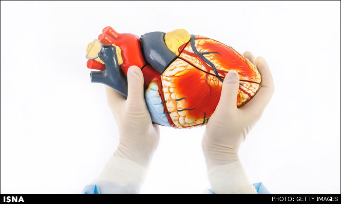 تولید ارزانتر مدلهای سهبعدی اندام انسان تولید ارزانتر مدلهای سهبعدی اندام انسان