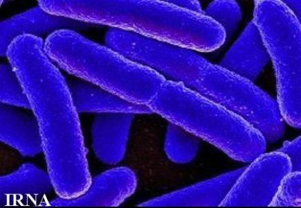 حل مشکل باکتری‌های مقاوم به آنتی‌بیوتیک با نانو