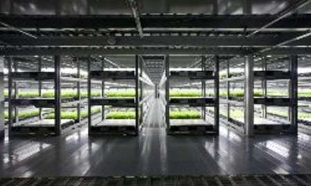 نخستین مزرعه رباتیکی جهان راه اندازی می شود نخستین مزرعه رباتیکی جهان راه اندازی می شود