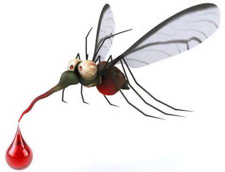 زیکا به 33 کشور گسترش یافت زیکا به 33 کشور گسترش یافت