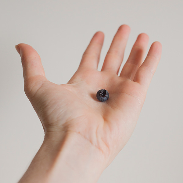 راهنمای جامع اینستاگرام برای عکاسان حرفه ای راهنمای جامع اینستاگرام برای عکاسان حرفه ای