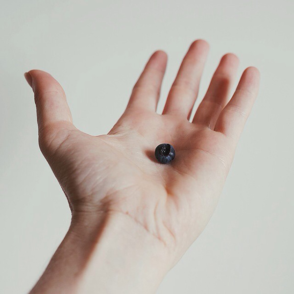 راهنمای جامع اینستاگرام برای عکاسان حرفه ای راهنمای جامع اینستاگرام برای عکاسان حرفه ای