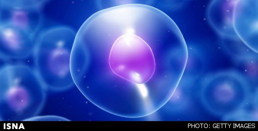 انجام دومین پیوند اتولوگ موفق آنمی آپلاستیک جهان انجام دومین پیوند اتولوگ موفق آنمی آپلاستیک جهان