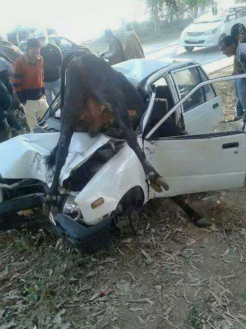 یک تصادف عجیب (عکس)