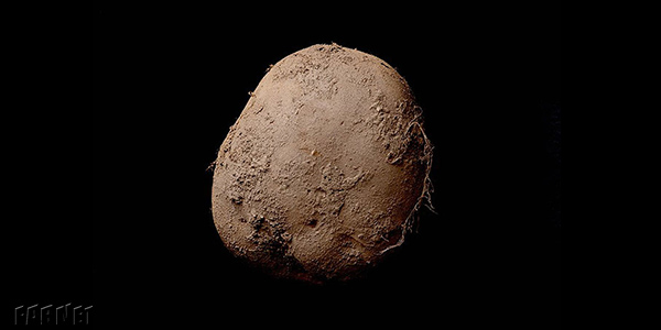 فروش عکس یک سیب‌زمینی به قیمت یک میلیون دلار