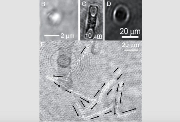 وقتی هولوگرام به کشف حیات بیگانه کمک میکند وقتی هولوگرام به کشف حیات بیگانه کمک میکند
