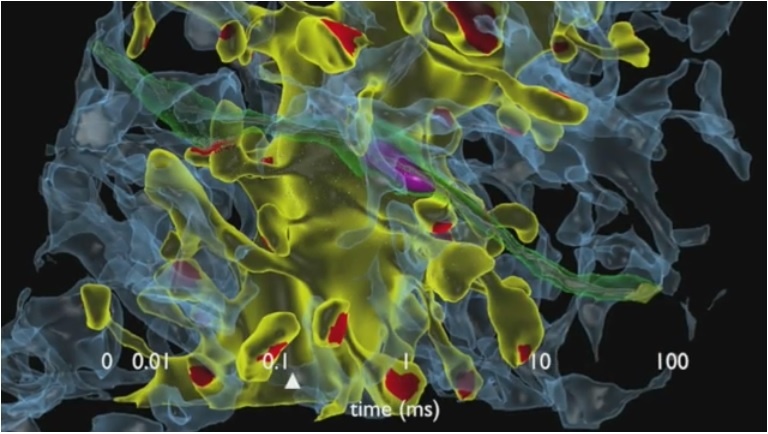 مغز انسان توانایی نگهداری کل محتوای اینترنت را دارد مغز انسان توانایی نگهداری کل محتوای اینترنت را دارد