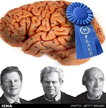 برندگان جایزه تحقیقات مغز 2016 معرفی شدند