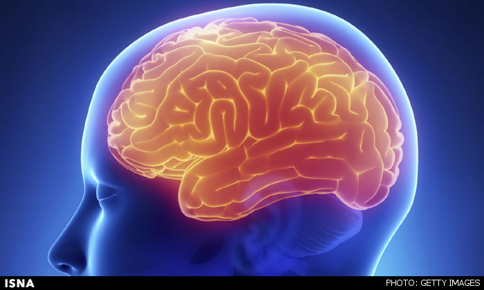 مغز چگونه اعداد را پردازش میکند؟ مغز چگونه اعداد را پردازش میکند؟