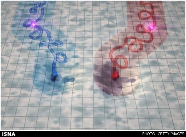 زوجها از سیستم ایمنی مشابه برخوردار می‌شوند