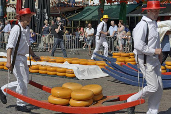 چالش سرقت پنیر در هلند (+عکس)