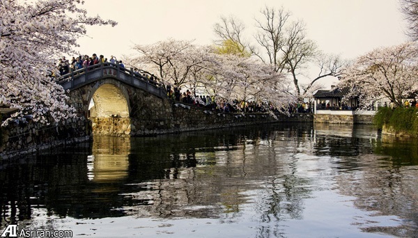 10 شهر برتر چین در زمینه نوآوری 10 شهر برتر چین در زمینه نوآوری