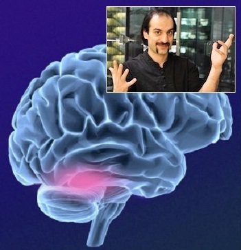 حل معمای چگونگی تشخیص چهره توسط مغز حل معمای چگونگی تشخیص چهره توسط مغز