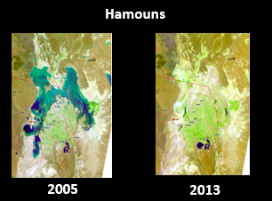 نجات محیط زیست تنها راهِ حفظ آینده است نجات محیط زیست تنها راهِ حفظ آینده است