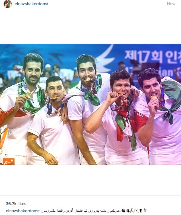 تبریک اینستاگرامی به والیبالسیتها ؛ از نیوشاضیغمی تا رضا قوچان نژاد(عکس)