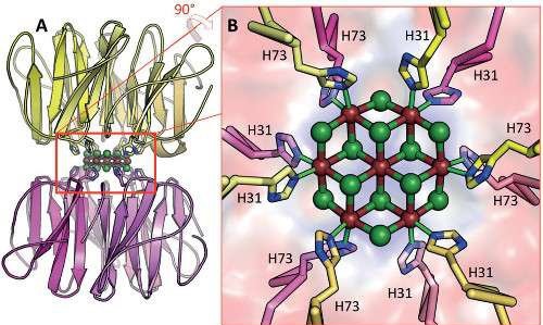 تولید کوچکترین نانوبلور دنیا تولید کوچکترین نانوبلور دنیا