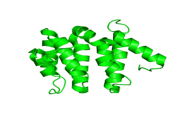 کشف پروتیین عامل تولید ایمنی در بدن