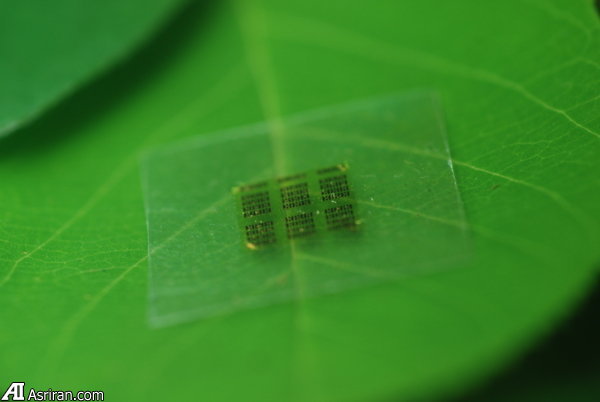 معرفی تراشه زیست تخریبپذیر با عملکردی فوقالعاده معرفی تراشه زیست تخریبپذیر با عملکردی فوقالعاده