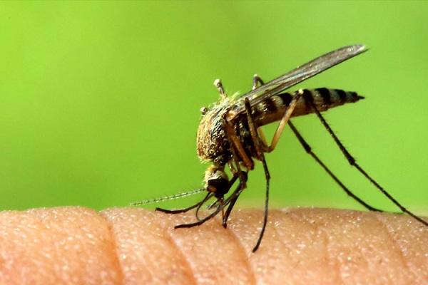 ۱۳ پیش‌بینی در مورد آینده‌ی علم و فناوری