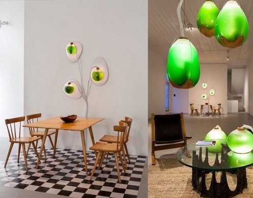 لامپ خوراکی که خانه را روشن و گرم میکند لامپ خوراکی که خانه را روشن و گرم میکند