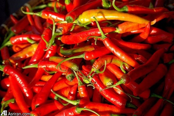 با مصرف غذاهای تند عمر خود را افزایش دهید! با مصرف غذاهای تند عمر خود را افزایش دهید!