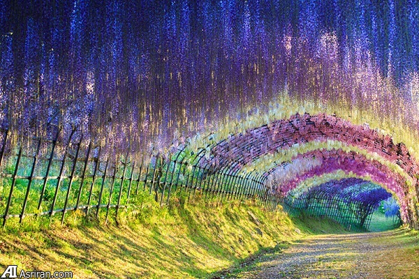 کشورهایی که اینترنت در آنها با سرعت می تازد! کشورهایی که اینترنت در آنها با سرعت می تازد!