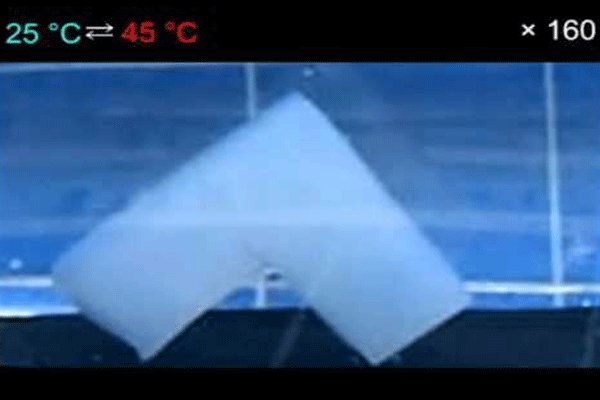 ساخت اولین ماهیچه مصنوعی با هیدروژل اسفنجی ساخت اولین ماهیچه مصنوعی با هیدروژل اسفنجی