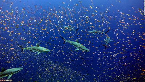 10 ذخیره‌گاه طبیعی در جهان (+عکس)