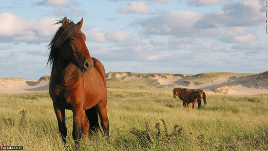 10 ذخیره‌گاه طبیعی در جهان (+عکس)