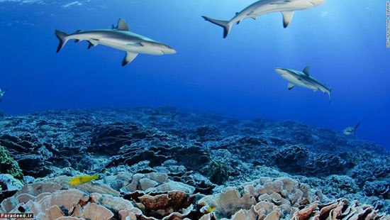 10 ذخیره‌گاه طبیعی در جهان (+عکس)