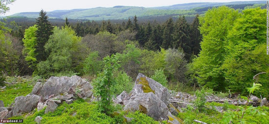 10 ذخیره‌گاه طبیعی در جهان (+عکس)