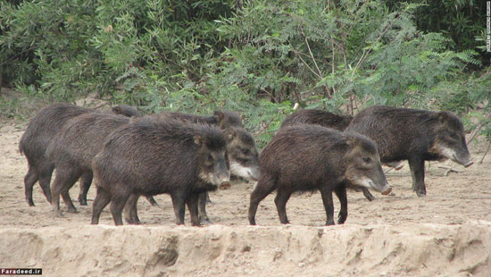 10 ذخیره‌گاه طبیعی در جهان (+عکس)