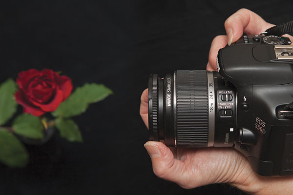 چه موقع از فوکوس دستی استفاده کنیم/نکنیم چه موقع از فوکوس دستی استفاده کنیم/نکنیم