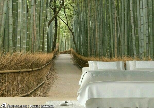 تصاویر 3 بعدی در زندگی در منزل های شخصی