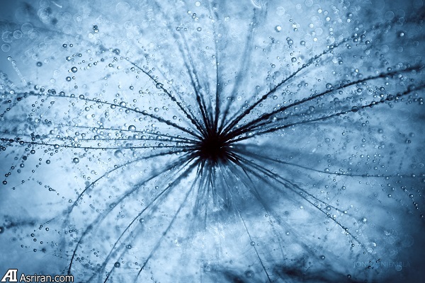 مینی کهکشان قطرات آب مینی کهکشان قطرات آب