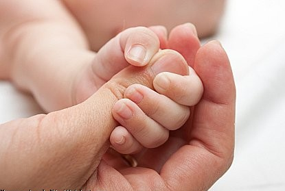 استقبال بانوان از فراخوان «نوازش» استقبال بانوان از فراخوان «نوازش»