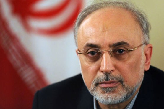 صالحی: ۱۵ دی برجام را عملیاتی میکنیم صالحی: ۱۵ دی برجام را عملیاتی میکنیم