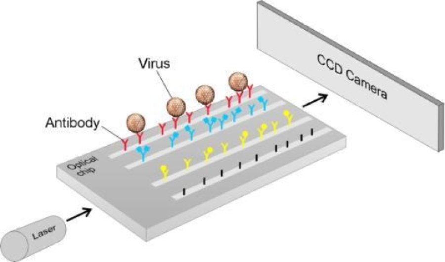 شناسایی ویروسها در 5دقیقه شناسایی ویروسها در 5دقیقه