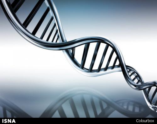 کشف کوچکترین ژنوم ضروری برای تداوم حیات