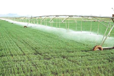 با تغییر الگوی كشت به حفظ منابع آبی كمك كنیم با تغییر الگوی كشت به حفظ منابع آبی كمك كنیم