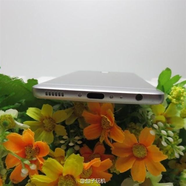 تصاویر منتسب به پی 9 هواوی فاش شد تصاویر منتسب به پی 9 هواوی فاش شد