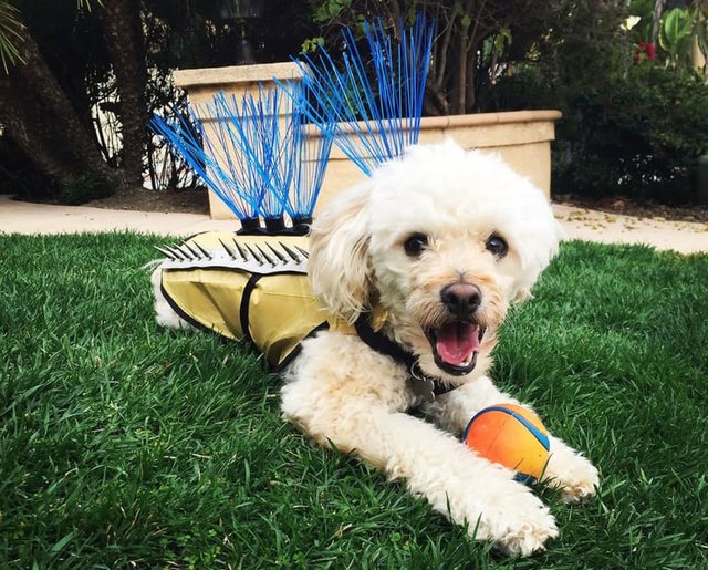 عجیب‌ترین اختراعات سال 2016 (+عکس)