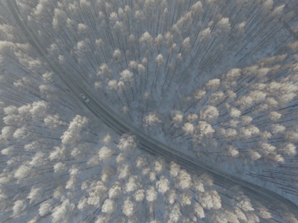 جاده‌ای زیبا و متفاوت در چین (عکس)