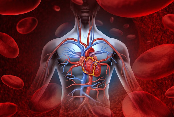 12 نشانه هشدار دهنده گردش خون ضعیف 12 نشانه هشدار دهنده گردش خون ضعیف