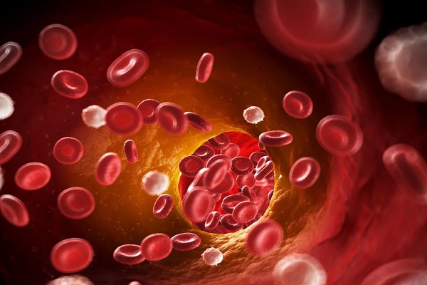 12 نشانه هشدار دهنده گردش خون ضعیف 12 نشانه هشدار دهنده گردش خون ضعیف