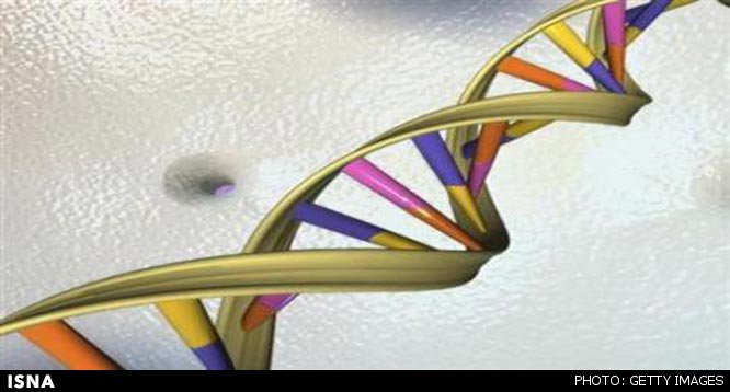 کشف ژنی که انسان را جوانتر نشان می‌دهد