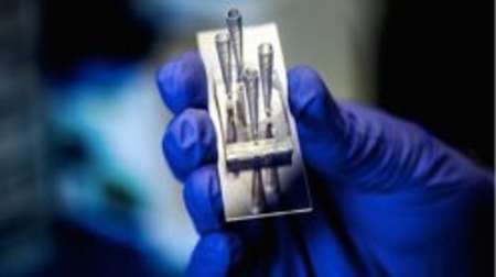 كشت سلول هاي كليه روي يك تراشه كشت سلول هاي كليه روي يك تراشه