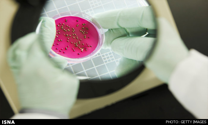 تشخیص فوری عفونت‌های باکتریایی با دستگاه جدید